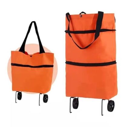 2 IN 1 FOLDING SHOPPING BAG
